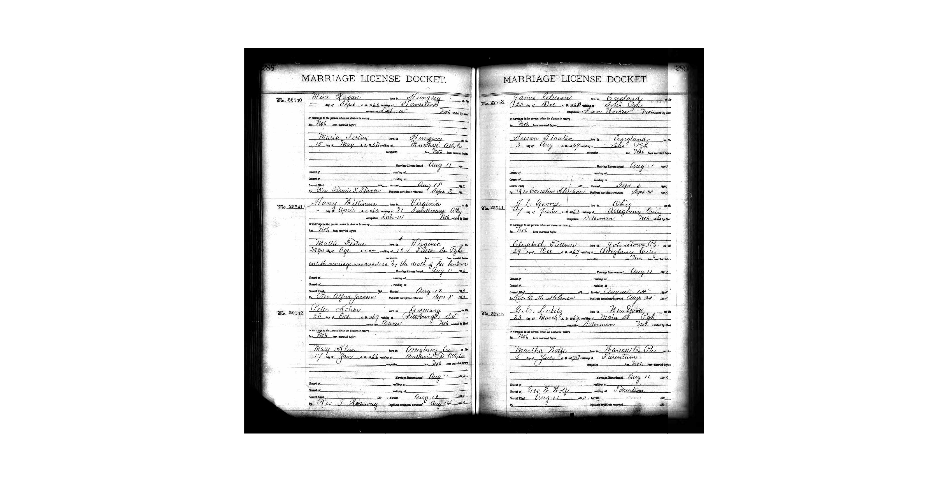 Marriage Record 1890